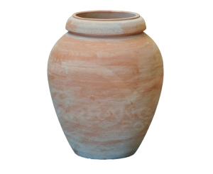 Orcio Liscio